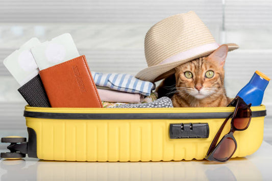 PETS: Traveling with Pets: A Practical Guide for Pet Owners Course