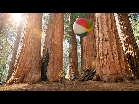 CALIFORNIA: The Ultimate Travel Guide to the Sunshine State Course