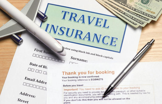 TRAVEL INSURANCE: A Comprehensive Guide & Tammy’s Advice Course