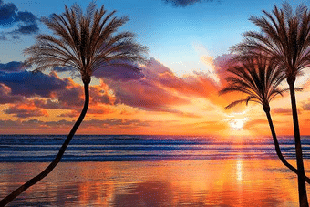 CALIFORNIA: The Ultimate Travel Guide to the Sunshine State Course