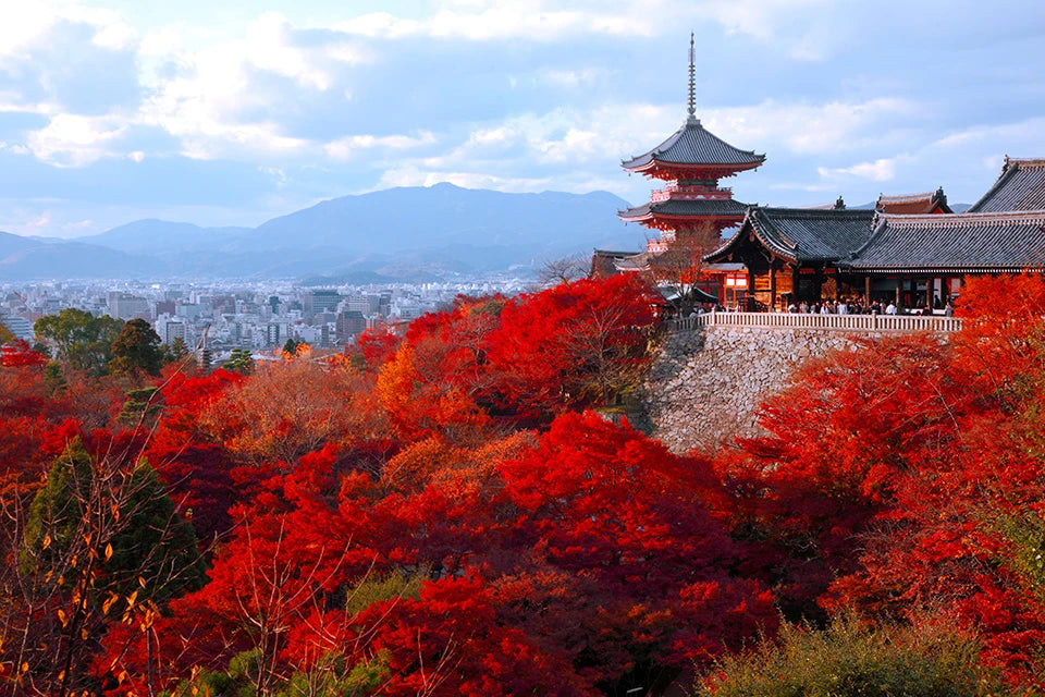JAPAN: Ancient Traditions and Modern Adventures