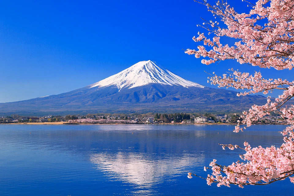 JAPAN: Ancient Traditions and Modern Adventures
