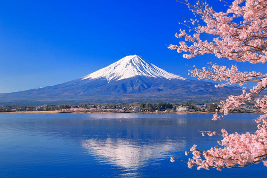 JAPAN: Ancient Traditions and Modern Adventures