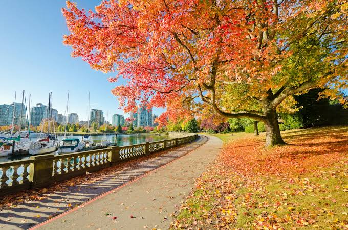 CANADA: The Complete Guide to Exploring Canada Like a Local