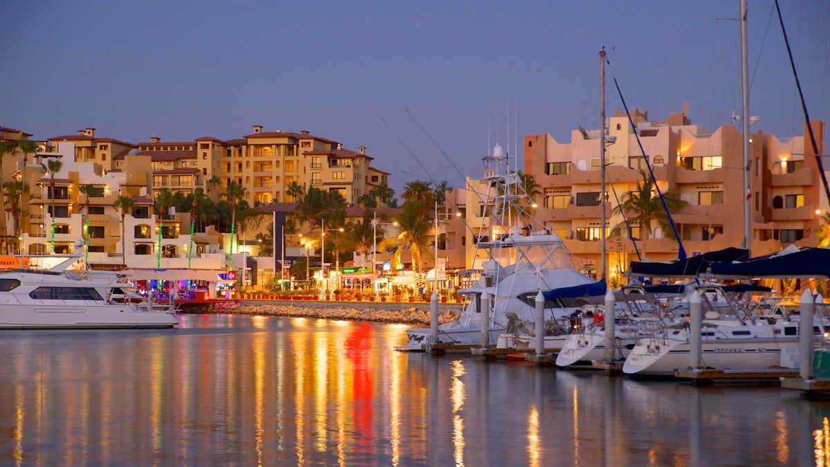 BAJA CALIFORNIA SUR & CABO : Insider Travel Secrets for Your Dream Adventure