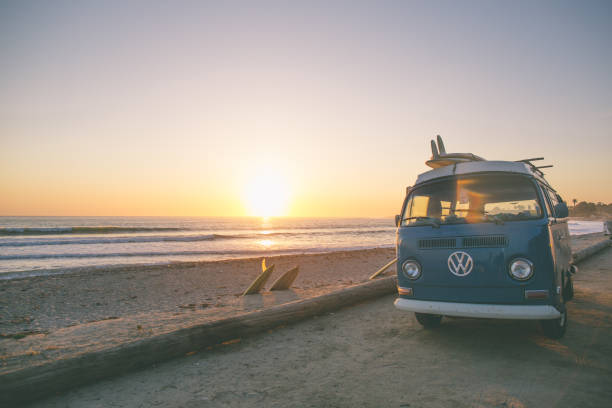 CALIFORNIA: The Ultimate Travel Guide to the Sunshine State Course