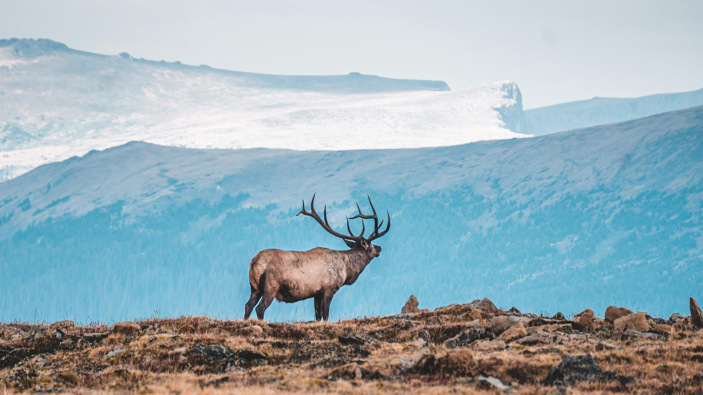 ALASKA:  A Complete Travel Experience for an Incredible Journey Course