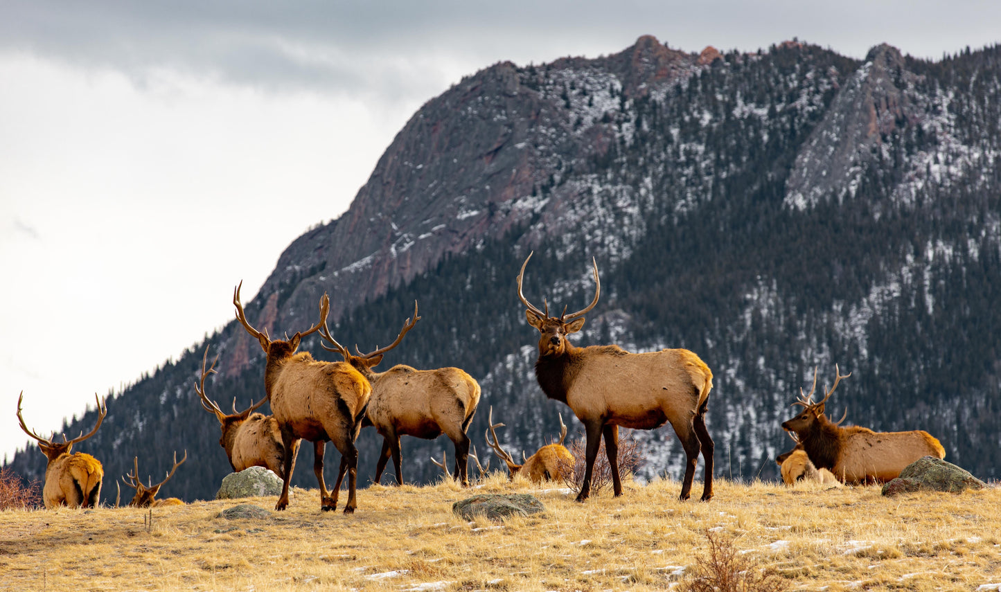 ALASKA:  A Complete Travel Experience for an Incredible Journey Course