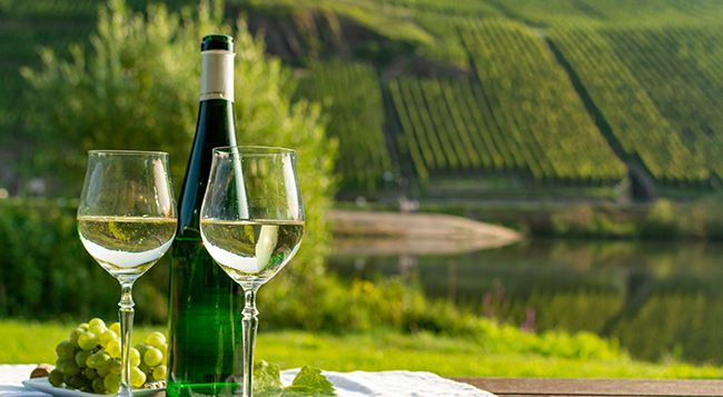 CRUISES: River Cruises – Exploring the Heart of Small Towns Course