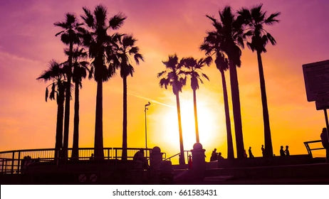 CALIFORNIA: The Ultimate Travel Guide to the Sunshine State Course